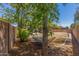 View of the grass and gravel backyard with a hammock hanging between trees at 17235 W Statler St, Surprise, AZ 85388