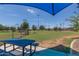 A baseball field with green grass and a picnic table in a community park offers outdoor activities at 17235 W Statler St, Surprise, AZ 85388
