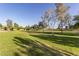 Lush green park with mature trees and shade at 17235 W Statler St, Surprise, AZ 85388