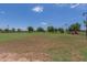 Expansive community green space featuring grass, trees, and walking paths perfect for recreation at 17235 W Statler St, Surprise, AZ 85388