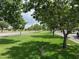 Scenic view of the community showcasing green lawns and mature trees at 3677 E Park Ave, Gilbert, AZ 85234