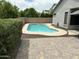 Private pool is surrounded by pavers, mature landscaping, and tall block wall at 3677 E Park Ave, Gilbert, AZ 85234