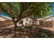 Large backyard offers privacy and space with mature trees and desert rock landscaping at 40329 W Thornberry Ln, Maricopa, AZ 85138