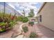 Inviting backyard with a refreshing pool and colorful landscaping, perfect for outdoor entertaining at 6388 W Donald Dr, Glendale, AZ 85310