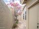 Exterior space with gravel pathway, flowering tree, and architectural design details at 6388 W Donald Dr, Glendale, AZ 85310
