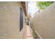 Charming side yard with gravel, flagstone path, and lush flowering tree for added curb appeal at 6388 W Donald Dr, Glendale, AZ 85310