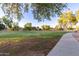 Scenic view of the park with a walking path and lush trees create a peaceful retreat at 712 W Jade Dr, Chandler, AZ 85248
