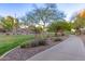 Walking path bordered with gravel landscaping, lush grass and flowers at 712 W Jade Dr, Chandler, AZ 85248