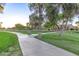 Scenic walking path winding through a lush green park with mature trees and manicured landscaping at 712 W Jade Dr, Chandler, AZ 85248