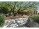 Inviting desert home entrance with xeriscaping, a stately tree, and a stone walkway at 10531 E Cinder Cone Trl, Scottsdale, AZ 85262