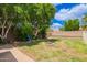 The spacious backyard features green grass, a fire pit and mature trees providing plenty of shade at 10566 E Bogart Ave, Mesa, AZ 85208