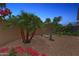 Landscaped backyard featuring a fountain, palm tree, gravel, and flowering bushes at 12937 W El Sueno Ct, Sun City West, AZ 85375