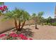 Landscaped backyard featuring a fountain, palm tree, gravel, and flowering bushes at 12937 W El Sueno Ct, Sun City West, AZ 85375