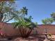 Private backyard featuring a charming fountain, mature trees, and desert landscaping at 12937 W El Sueno Ct, Sun City West, AZ 85375