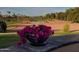 Beautiful flower planter with a view of the golf course and pond in the background at 12937 W El Sueno Ct, Sun City West, AZ 85375