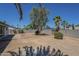The serene backyard features a brick wall, shade trees, and desert landscaping at 1708 W Estrella Dr, Chandler, AZ 85224