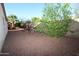 Backyard featuring desert landscaping and mature shade trees at 17516 W Pershing St, Surprise, AZ 85388