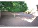 Spacious backyard featuring desert landscaping, mature trees, and privacy fence at 17516 W Pershing St, Surprise, AZ 85388