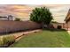 Expansive backyard with lush green lawn, mature shade tree, and privacy wall at 18814 N 33Rd Ave, Phoenix, AZ 85027