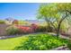 Backyard space featuring a playground and desert views at 19829 N 97Th St, Scottsdale, AZ 85255