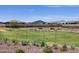 Community green space with walking path, park benches, young trees, and decorative desert landscaping at 20795 N Roadrunner Ln, Maricopa, AZ 85138