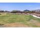 Community green space features manicured lawn, curving sidewalks, decorative landscaping and nearby homes at 20795 N Roadrunner Ln, Maricopa, AZ 85138