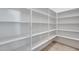 Walk-in pantry features bright white shelves and ample storage space at 29214 N 19Th Ln, Phoenix, AZ 85085