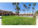 Inviting community pool area surrounded by lush landscaping, palm trees, and well-maintained buildings at 3511 E Baseline Rd # 1235, Phoenix, AZ 85042