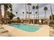 Community pool surrounded by mature palm trees and lounge chairs, offering a resort-style experience for residents at 3511 E Baseline Rd # 1235, Phoenix, AZ 85042