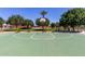 Community basketball court with a well-maintained green playing surface and surrounding trees at 3637 E Ebano St, Gilbert, AZ 85295