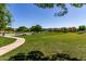 Expansive green park with walking path, basketball court, and residential houses in the background at 3637 E Ebano St, Gilbert, AZ 85295