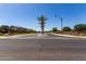 Street view showcases Cooley Station entrance with palm trees and manicured landscaping at 3637 E Ebano St, Gilbert, AZ 85295