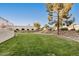 Well-maintained backyard featuring lush green lawn and desert landscaping at 5445 E Mckellips Rd # 23, Mesa, AZ 85215