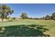 Picturesque golf course view featuring rolling green fairways and lush landscaping at 5445 E Mckellips Rd # 23, Mesa, AZ 85215