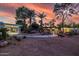 Spacious backyard with lush palm trees, rock features, gravel landscaping and modern design at 6112 E Jenan Dr, Scottsdale, AZ 85254