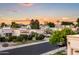 Scenic view of the neighborhood showcasing lush landscaping and charming homes at 8429 E Del Camino Dr, Scottsdale, AZ 85258