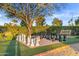 Outdoor chess setup with manicured landscaping and mature shade tree at 8429 E Del Camino Dr, Scottsdale, AZ 85258