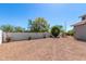 Gravel-covered backyard featuring a block wall, complemented by desert landscaping, trees, and potted plants at 9203 E Topeka Dr, Scottsdale, AZ 85255