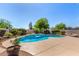 Backyard pool area surrounded by lush landscaping, bushes, and a mature tree, under a clear blue sky at 9203 E Topeka Dr, Scottsdale, AZ 85255