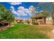 Spacious backyard with a well-manicured lawn, an outdoor kitchen, and mature trees offering plenty of shade at 13206 N 64Th St, Scottsdale, AZ 85254
