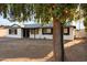 Charming single-story home with fresh paint and mature trees, offering a blend of comfort and curb appeal at 13624 N 31St Ave, Phoenix, AZ 85029
