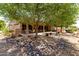 Backyard landscape featuring desert landscaping, mature trees, and an extended covered patio at 17406 N Escalante Ln, Surprise, AZ 85374