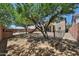 Large backyard featuring mature trees and chain link fence at 30263 W Crittenden Ln, Buckeye, AZ 85396