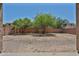 Private backyard showcasing mature trees, gravel landscaping, and chain link fence at 30263 W Crittenden Ln, Buckeye, AZ 85396