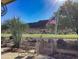Relaxing back patio with American flag, desert plants, and scenic golf course views at 5023 S Dusty Coyote Trl, Gold Canyon, AZ 85118
