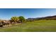 Expansive golf course view with well-manicured greens, desert trees, and mountain backdrop at 5023 S Dusty Coyote Trl, Gold Canyon, AZ 85118