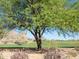 Scenic golf course view showcasing lush greenery, mature trees, and mountain views at 5023 S Dusty Coyote Trl, Gold Canyon, AZ 85118