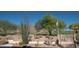 Picturesque golf course views featuring desert landscaping and clear blue skies at 5023 S Dusty Coyote Trl, Gold Canyon, AZ 85118