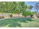 Lush backyard with green lawn, mature trees, and a fenced border, perfect for outdoor enjoyment at 5283 W Dublin Ct, Chandler, AZ 85226