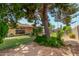Green backyard with a covered patio, large tree, and tidy landscaping at 6902 E Cypress St, Scottsdale, AZ 85257